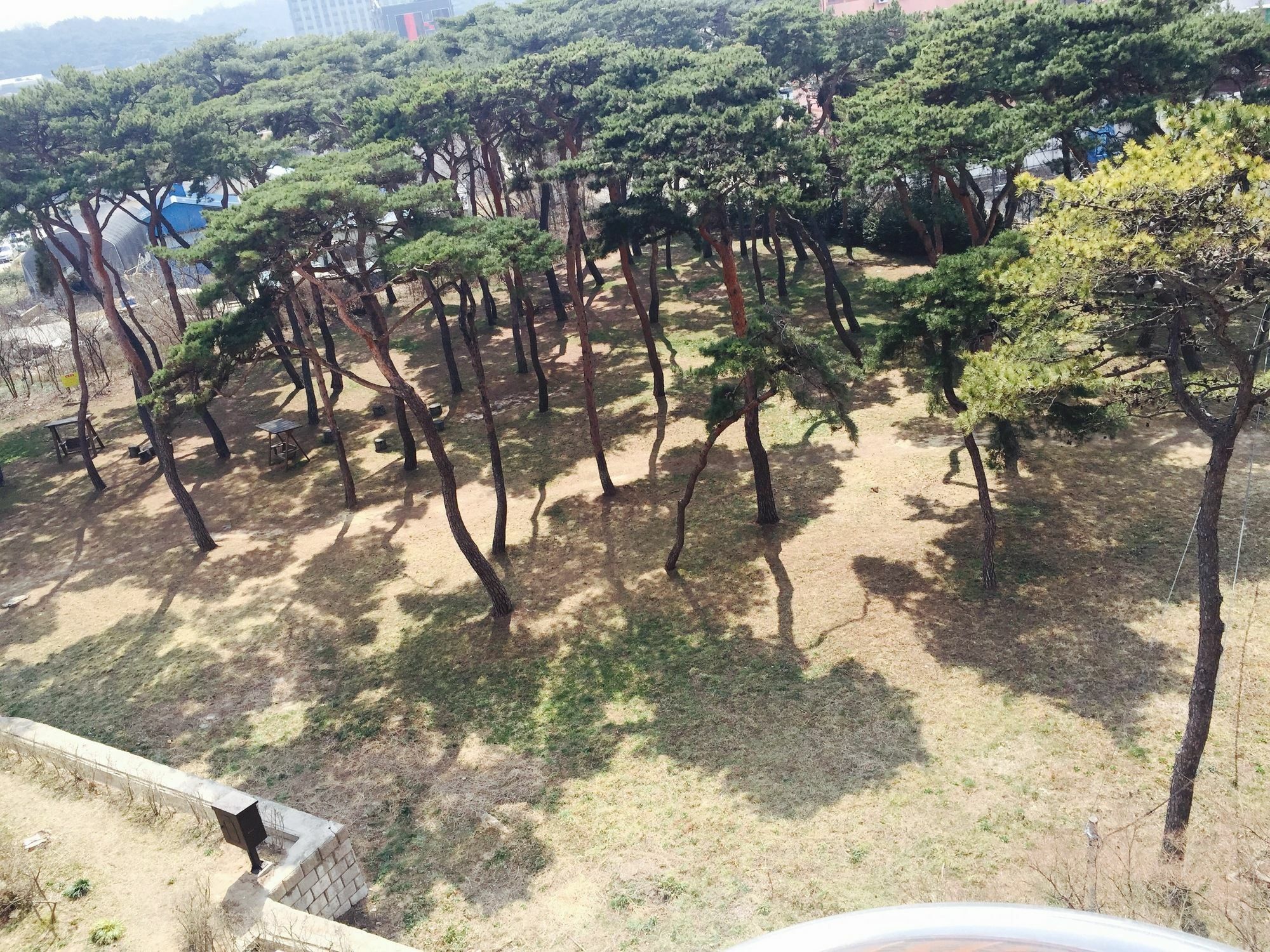 Glory Condo Dogo 아산 외부 사진